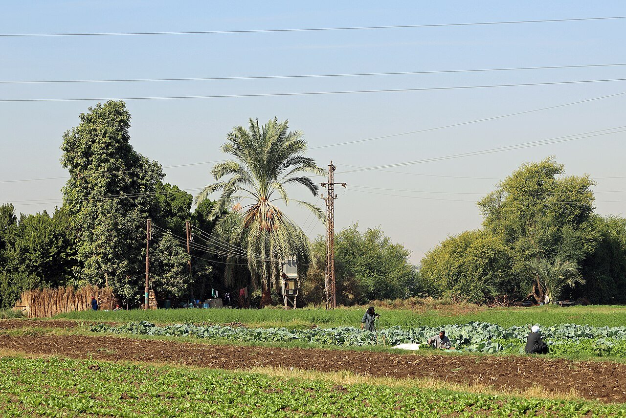 Explore Authentic Rural Egypt in 2026. 2 Explore Authentic Rural Egypt in 2026