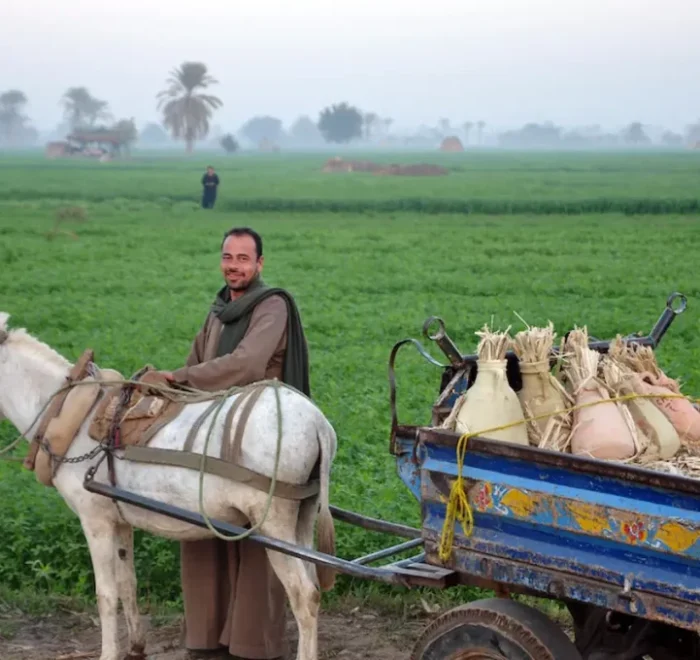 Explore Authentic Rural Egypt in 2026