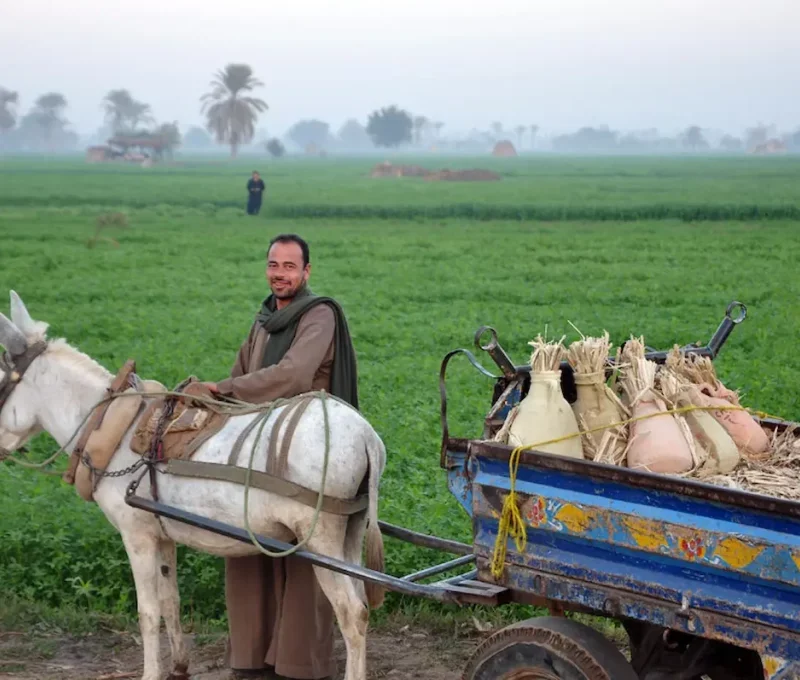Explore Authentic Rural Egypt in 2026