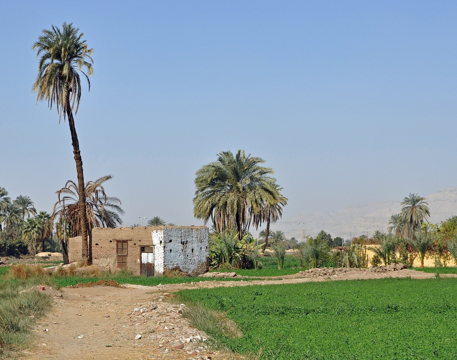 Explore Authentic Rural Egypt in 2026. 3 Egyptian Countryside R04.jpg1